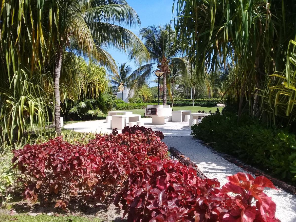 Swim The Caribbean & Work With A View Apartment Cancun Exterior photo